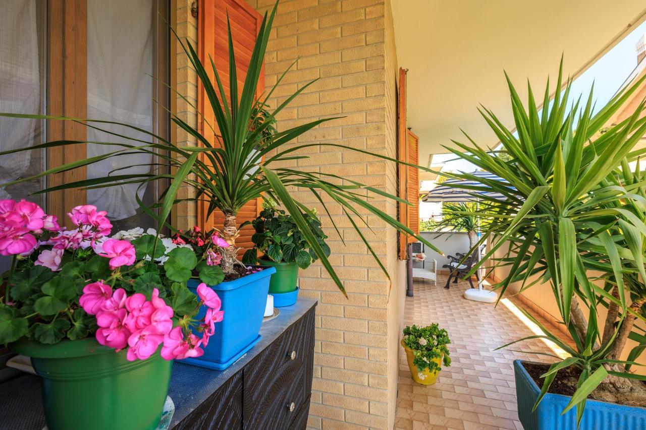 B&B Il Tiglio Porto SantʼElpidio Exteriér fotografie